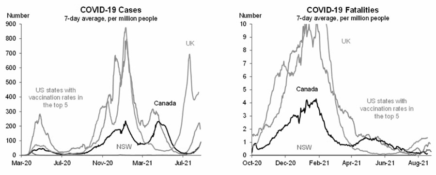 straight-bat-news-covid19-graph-01 straight-bat-news-covid19-graph-01