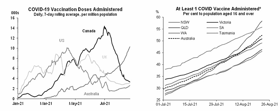 straight-bat-news-covid19-graph-04 straight-bat-news-covid19-graph-04